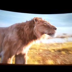 Marcus Century Cinema - Lion king