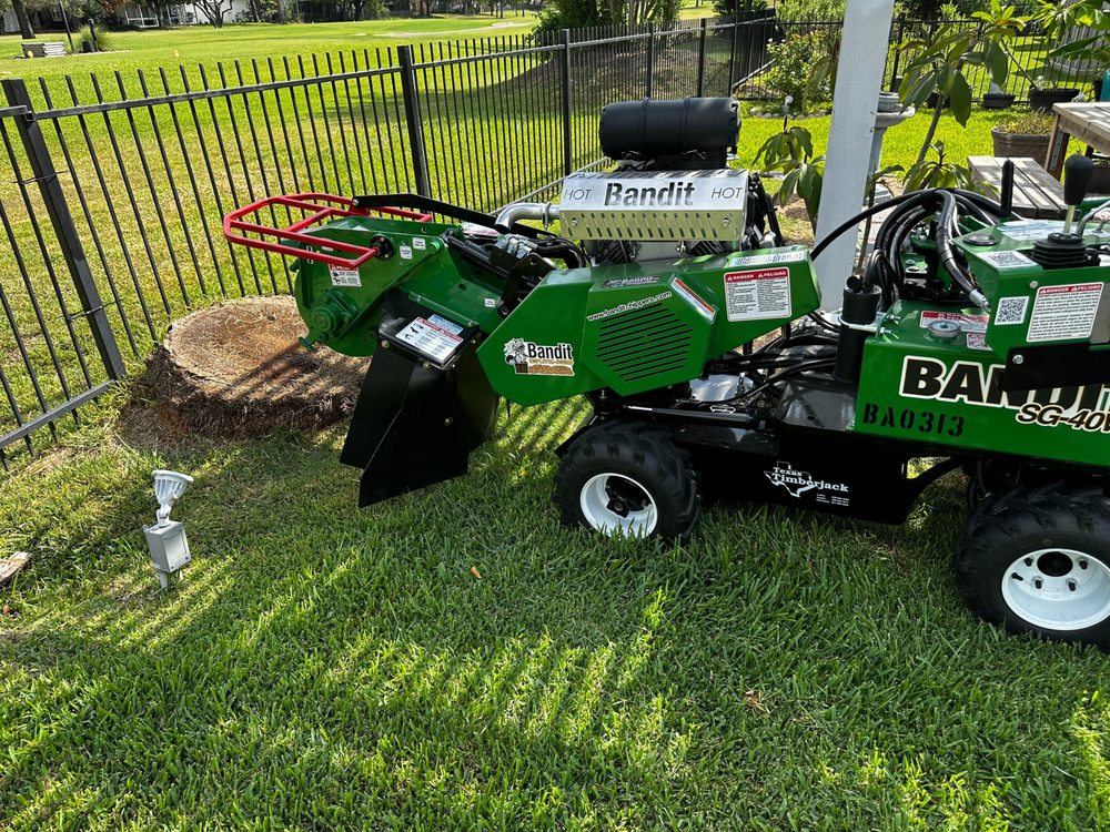 HamodaTrees - tree service in Houston, TX