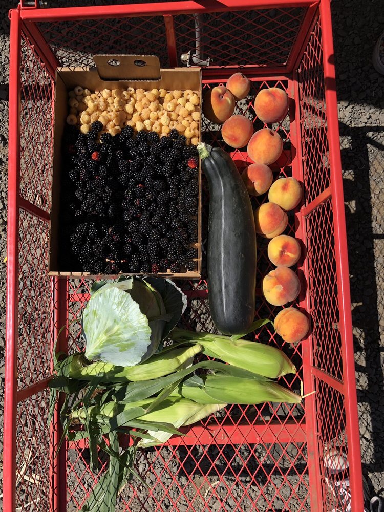 SAUVIE ISLAND FARMS 157 Photos & 75 Reviews 19818 NW Sauvie Island