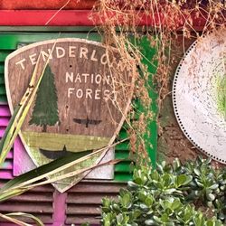 Tenderloin National Forest