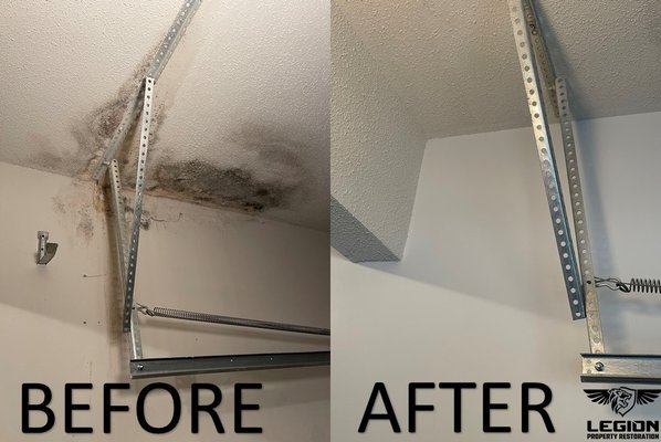 Mold remediation - Don't let mold stress you out, call today!