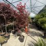 Photo of Forrest's Landscaping & Lawn Care