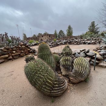 Besh-Ba-Gowah Archaeological Park - Barrel cactus with the ruins in the background - Parks Near Me - Globe, Arizona Besh-Ba-Gowah Archaeological Park - Barrel cactus with the ruins in the background - Parks Near Me - Globe, Arizona