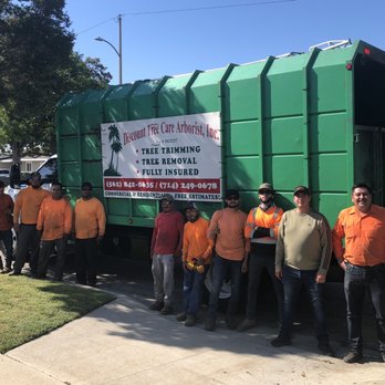 Discount Tree Care Arborist - Discount Tree Carr - Tree Services Near Me - Long Beach, California
