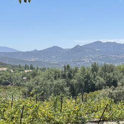 La Finquita Winery & Vineyard - Mountain View