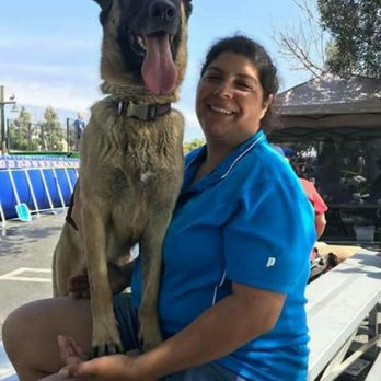 Crazy K9's - Trainer and Trainee - Pet Training Near Me