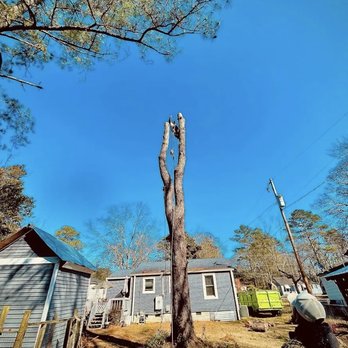 Paramount Tree Services - Tree Services Near Me - Irmo, South Carolina