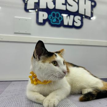 Fresh Paws - Pet Groomers Near Me Fresh Paws - Pet Groomers Near Me