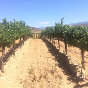 Leoness Cellars - On the vineyard tour - Venues & Event Spaces Near Me - Temecula, California Leoness Cellars - On the vineyard tour - Venues & Event Spaces Near Me - Temecula, California
