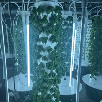 Gather - Hydroponic garden - New American Near Me - Omaha, Nebraska Gather - Hydroponic garden - New American Near Me - Omaha, Nebraska