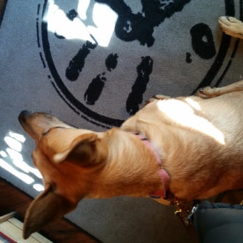 Black Hand Coffee - Dog friendly - Coffee & Tea Near Me - Richmond, Virginia Black Hand Coffee - Dog friendly - Coffee & Tea Near Me - Richmond, Virginia