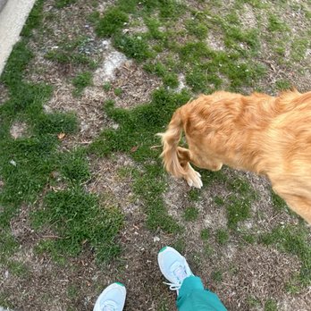 Addison Ridge - Loose dog jumping on me while I was walking my dog on a leash - Apartments Near Me - Fayetteville, North Carolina Addison Ridge - Loose dog jumping on me while I was walking my dog on a leash - Apartments Near Me - Fayetteville, North Carolina