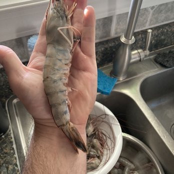 Davis Seafood - My husband holding one of the jumbo shrimp ! - Seafood Markets Near Me - Sneads Ferry, North Carolina Davis Seafood - My husband holding one of the jumbo shrimp ! - Seafood Markets Near Me - Sneads Ferry, North Carolina