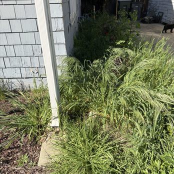 Garcia's Landscaping - Before - Gardeners Near Me Garcia's Landscaping - Before - Gardeners Near Me