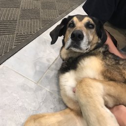 Huey the Greeter