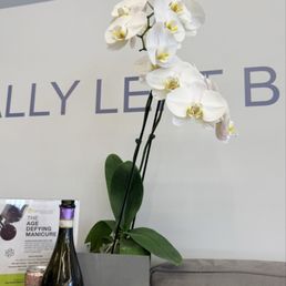 Beautiful orchids and ambience everywhere you look! Beautiful orchids and ambience everywhere you look!