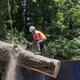 Photo of Metcalf Tree Service