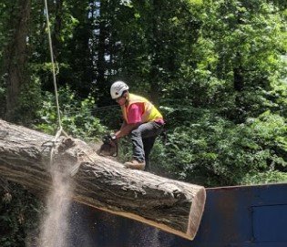 Metcalf Tree Service