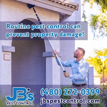 JB's Pest Control - Pest Control Near Me - Queen Creek, Arizona JB's Pest Control - Pest Control Near Me - Queen Creek, Arizona