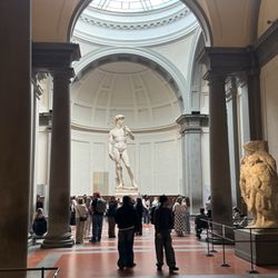 Statua del David