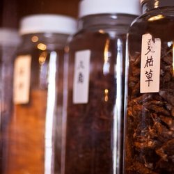 Sierra Acupuncture & Healing Arts - Herbal medicine