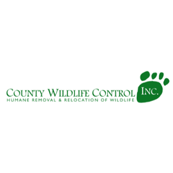 County Wildlife Control