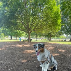 Jiggs Askew Bark Park