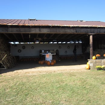 True Blue Farm - Their farmstand - Fruits & Veggies Near Me - Bangor, Pennsylvania