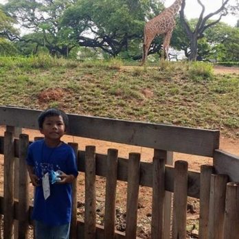 Honolulu Zoo - We're missing school field trips... - Zoos Near Me - Honolulu, Hawaii Honolulu Zoo - We're missing school field trips... - Zoos Near Me - Honolulu, Hawaii