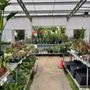 Photo of Green Thumb Nursery