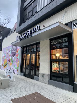 Blackbird Doughnuts Watertown by null