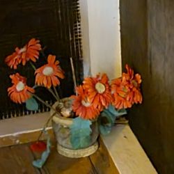Castaways Beach & Bay Cottages Sanibel Island