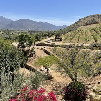 Viñedos de la Reina - View from the Patio - Wine Tasting Room Near Me - Guadalupe, NLE Viñedos de la Reina - View from the Patio - Wine Tasting Room Near Me - Guadalupe, NLE