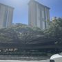 Photo of Frank F Fasi Municipal Building People's Open Market