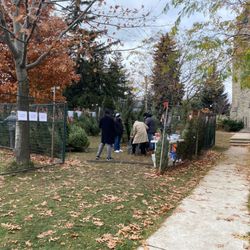 433rd Toronto Scouts - Shoppers picking out a Christmas tree at 433rd Toronto Scouts