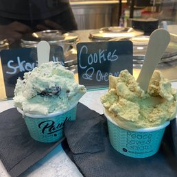 Mint Chocolate Chip Mint Chocolate Chip