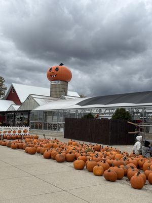 Goebbert's Farm - South Barrington by null