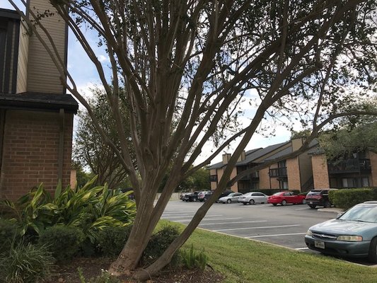 Sycamore Creek Apartments by null