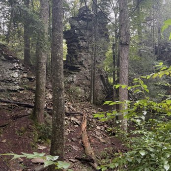 Fiery Gizzard State Park - Parks Near Me - Monteagle, Tennessee