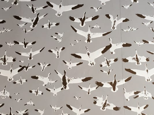 Bar Le Sparrow by null