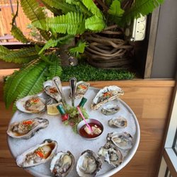 The Cove Sushi & Oyster
