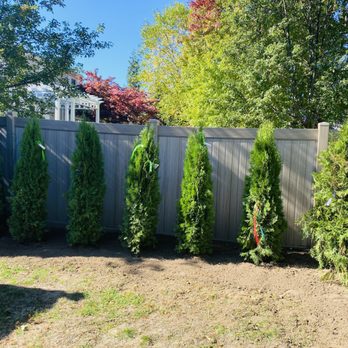 Manny Landscaping - Lawn Services Near Me
