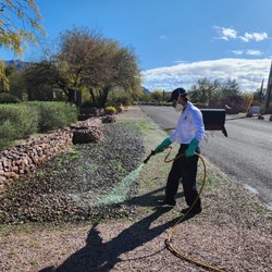 Ozone Pest Control