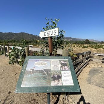 Ostrichland USA - Attraction Farms Near Me - Solvang, California