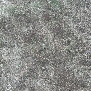 All Turf - Lawn Services Near Me - Loganville, Georgia