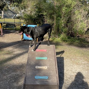 Enterprise Dog Park - Fun structures for pups to play on - Dog Parks Near Me - Clearwater, Florida Enterprise Dog Park - Fun structures for pups to play on - Dog Parks Near Me - Clearwater, Florida