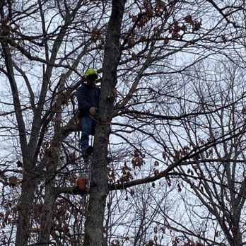 1. K & R Tree and Landscaping