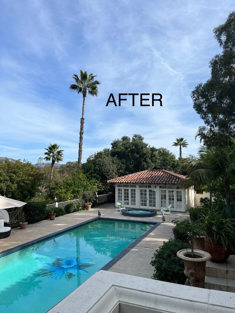 JJ Tree service - tree service in Encinitas, CA