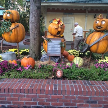 Dollywood - Amusement Parks Near Me - Pigeon Forge, Tennessee