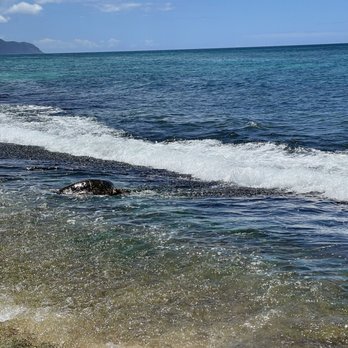 Laniakea Beach - Beaches Near Me - Haleiwa, Hawaii Laniakea Beach - Beaches Near Me - Haleiwa, Hawaii